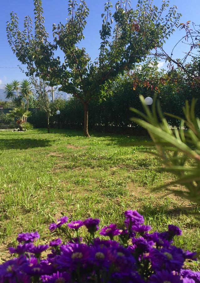 Bba2Passi Bed & Breakfast Marina di Massa Luaran gambar